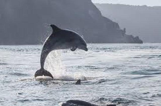 Baie Mt St Michel , Jullouville , Villa Caprice Rdc , 50 M Mer ,7 Pers , Pres Plage Dday Екстер'єр фото
